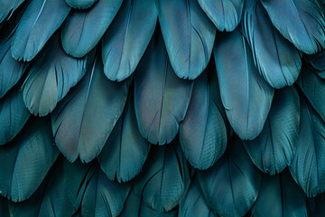 Obraz premium Teal color feathers abstract background, ultra realistic photography