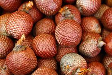 A close-up image showcasing a pile of Salak fruits, also known as snake fruits, with their distinctive reddish-brown scaly skin.