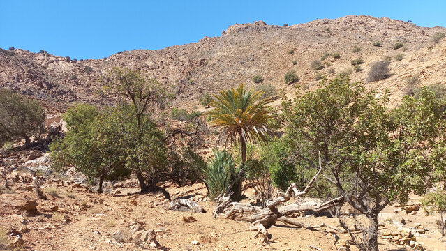 Mountains surrounding the village of Tifghelt, Tafraout