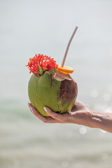 tropical refreshing coconut cocktail in female hands, ocean in the background, paradise