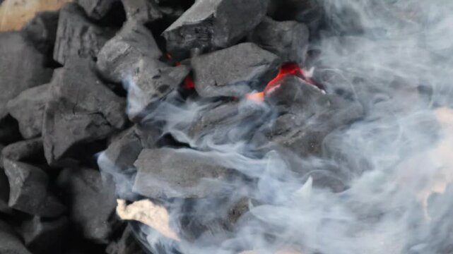 Grill crawfish and chicken on steel grating in a tank with charcoal.