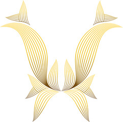 beautiful golden flower petal