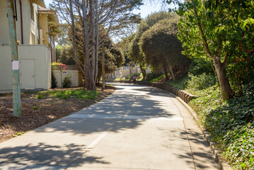Fototapeta premium Paved path lined with trees through a residential district on a sunny autumn day. A persorn walking a dog is visible in distance.