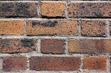 Mur en briques oxydées 