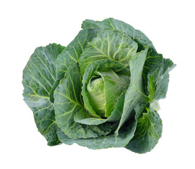 Green cabbage transparent png
