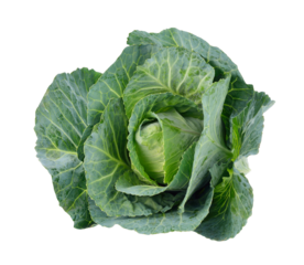 Green cabbage transparent png
