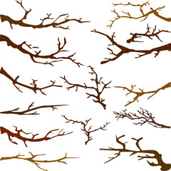 Tree Branch illustration for Nature and Design Projects
