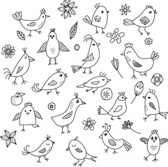 Black and white birds and flowers set