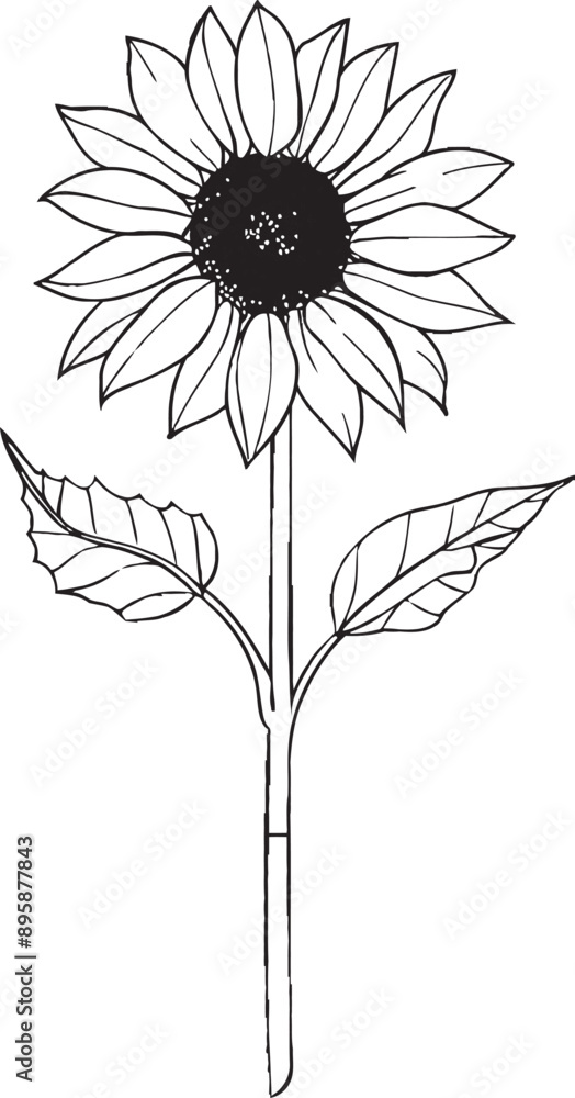Poster a sunflower drawn in continuous line art style. black linear sketch isolated on a white background. 