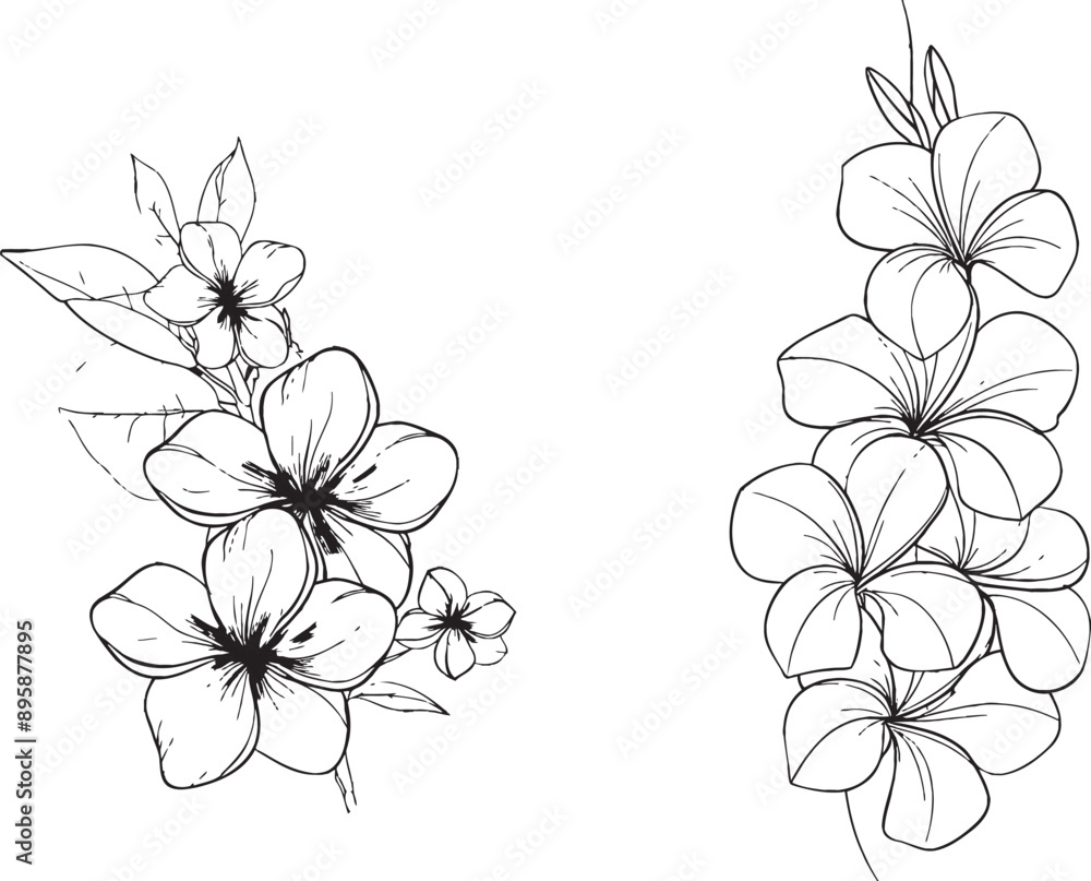 Aufkleber Intense black linear sketch of tropical plumeria flower on white background with continuous line art drawing style.