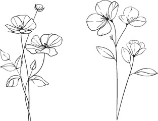 An abstract bouquet of flowers drawn in a trendy linear style. Flowers one line drawing. Hand drawn bouquet.