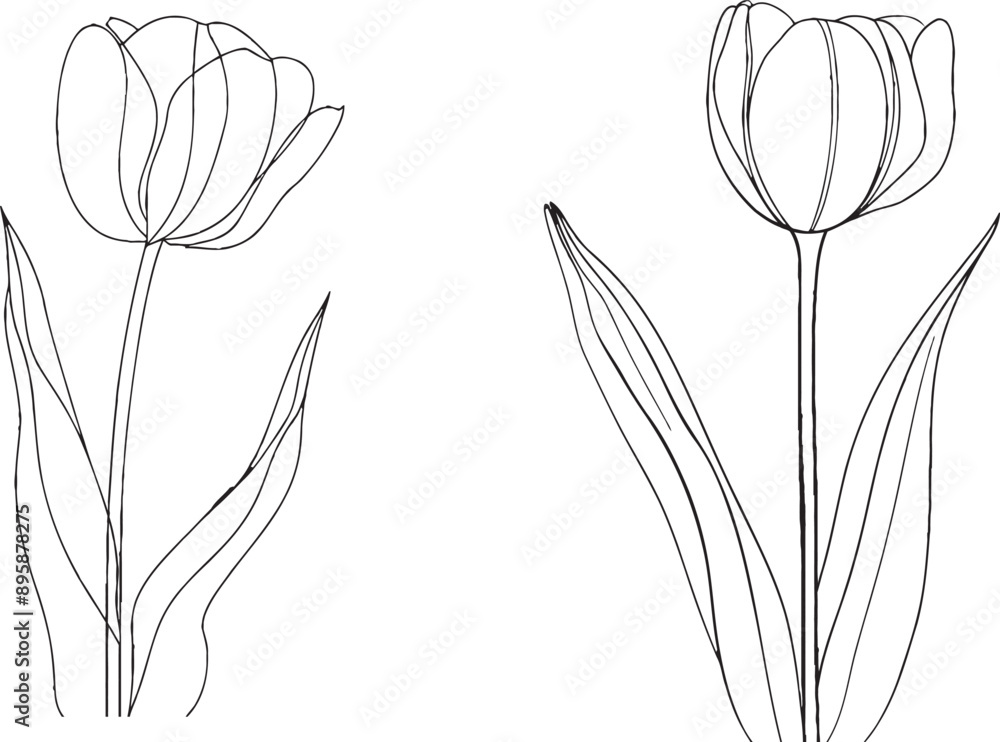 Aufkleber an abstract spring flower concept illustrating a continuous one line drawing of a tulip. minimalist 