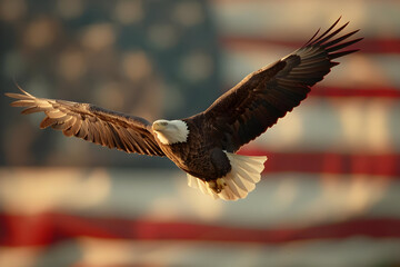 Naklejka premium A majestic bald eagle soars gracefully in front of a blurred American flag backdrop, symbolizing freedom and patriotism.