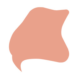 Collection of colorful speech bubbles and dialogue balloons