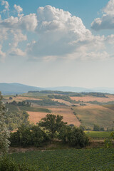 Idyllic Tuscan Countryside on a Sunny Day