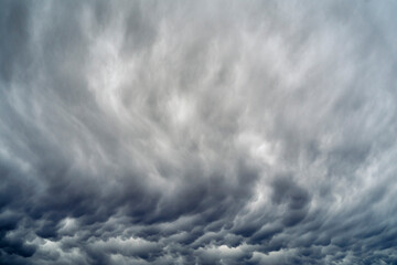mammatus