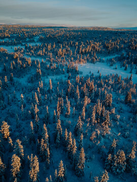 Winter Sunrise Over Ringebu Forest Mountains, Norway