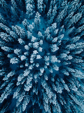 Aerial Winter View of Snow-Covered Forest in Ringebu, Norway