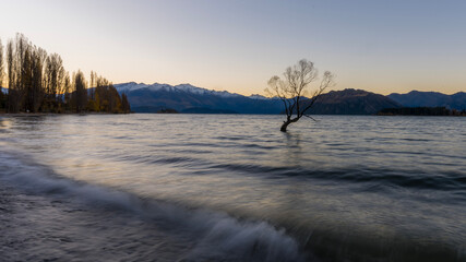 sunrise over the river, Wanaka The tree, New Zealand