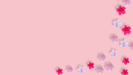 white, red, pink flower on pink background, Creative lifestyle, summer or  spring concept. Copy space, flat lay, top view. half bottom background