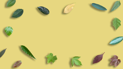 leaves, fallen leaves on yellow background, Creative lifestyle, summer or spring concept. Copy space, flat lay, top view. cute background