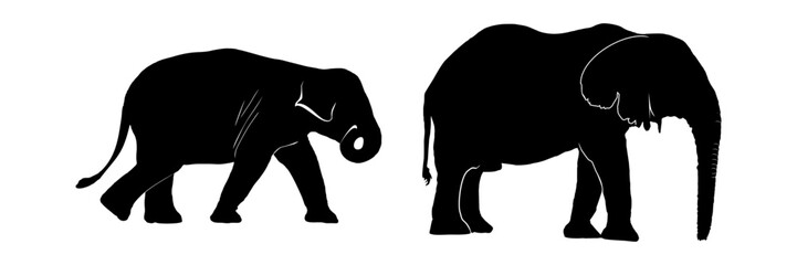 set elephant silhouette illustration background