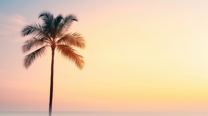 A palm tree in sunset, tropical evening, gradient colors, minimalist style, isolated on white background