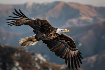 Obraz premium A lone eagle with powerful wings flying over an expansive and rugged mountain landscape, embodying independence, freedom, and strength in a commanding natural environment.