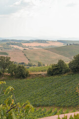 Tuscany's Patchwork Fields and Vineyards