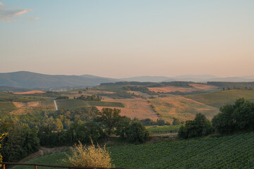 Golden Fields of Tuscany at Sunset