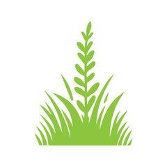 green grass design flat vector illustration