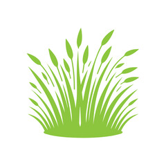  green grass design flat vector illustration