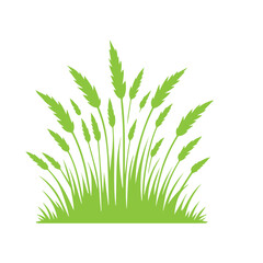  green grass design flat vector illustration