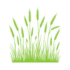  green grass design flat vector illustration