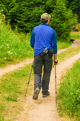 young Man do the Scandinavian hiking in the forest . High quality photo