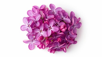 A bunch of purple flowers are arranged in a circle. The arrangement is full and dense