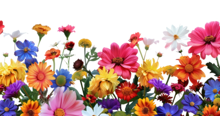 Colorful vibrant floral border element