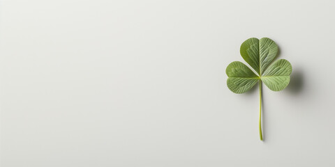 A green leaf with a stem is on a white background