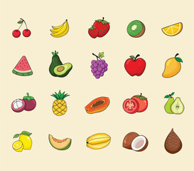 Collection of Fruit Illustration