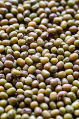 closeup of many green mung bean seeds