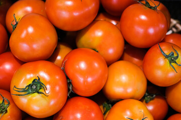 A bunch of ripe red tomatoes. The tomatoes are all different sizes and are piled on top of each other