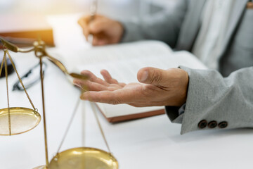 freelance legal consultant advises client on a lawsuit, discussing plans and rights while focusing...
