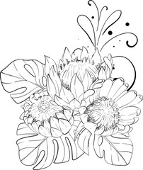 Vector tropical composition, bouquet of creative flowers, proteas and exotic monstera leaves. Hand drawn graphic. Black circuit silhouette