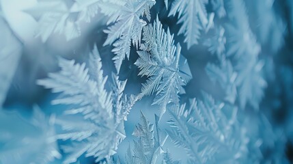 Delicate and intricate frost patterns are forming on a window during a chilly winter day