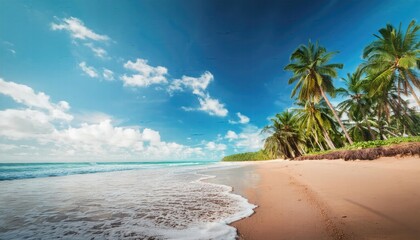 Beach images, beach with palm trees, brown sand, sea and coconut trees in spring color, outdoor nature background