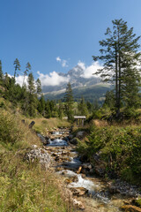 Alpine river, Dolomite Mountains, Carezza, Bolzano, Italy