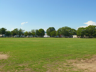 スポーツ公園の広場