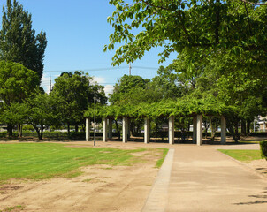 スポーツ公園の広場