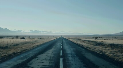 Endless Asphalt Road Stretching into the Vast Horizon of the Desert Wilderness