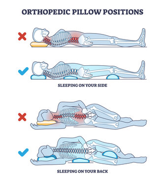 Orthopedic pillow positions with sleeping on side and back outline diagram, transparent background. Labeled educational poses with good, correct and healthy example comparison to wrong illustration.